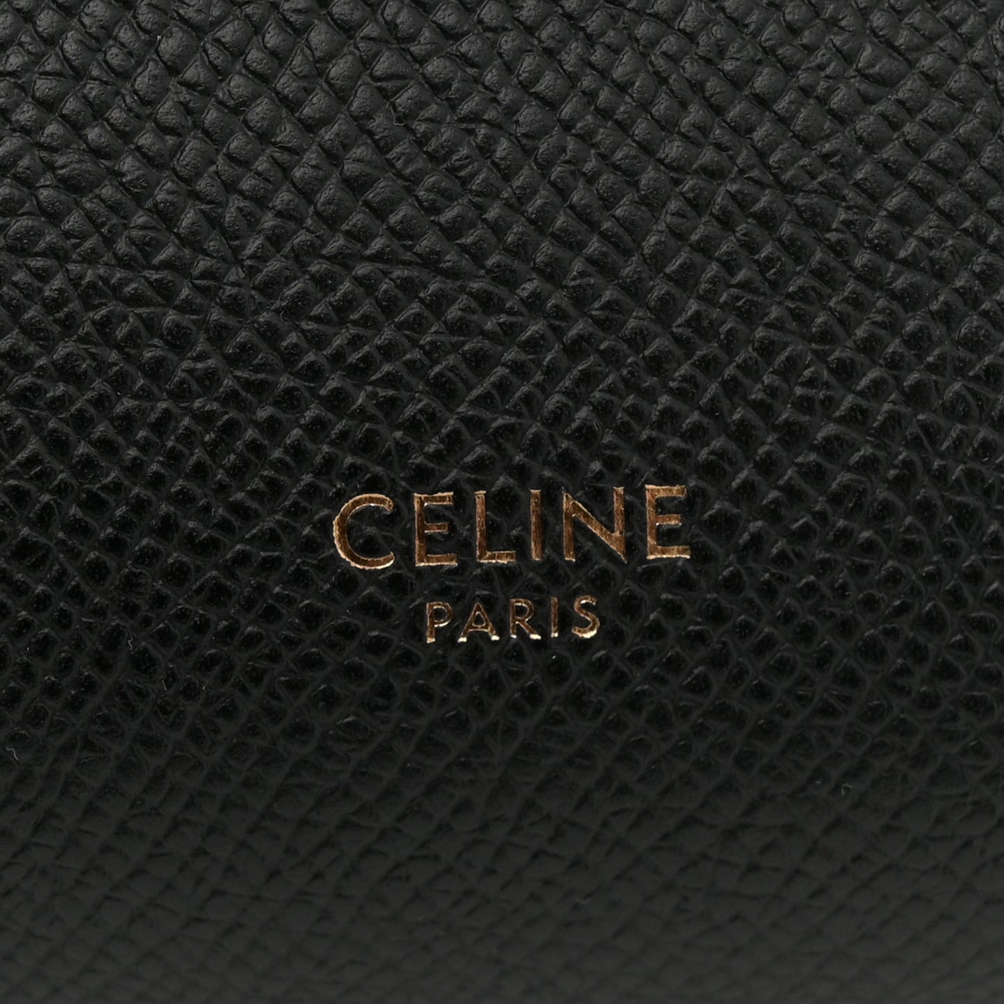 Grained Calfskin Nano Belt Bag Black