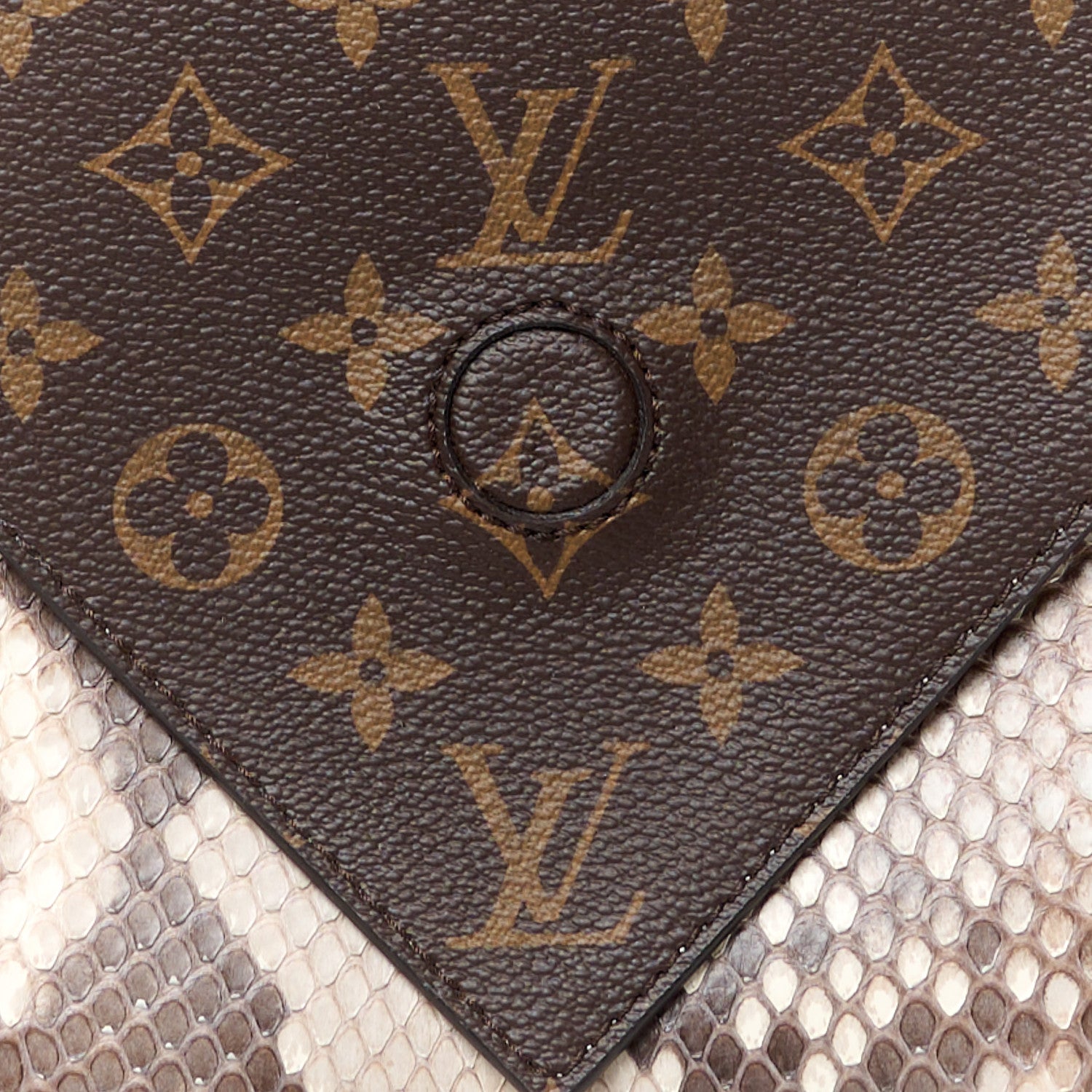 Louis Vuitton Snakeskin Monogram Double V Creme 9 of 11