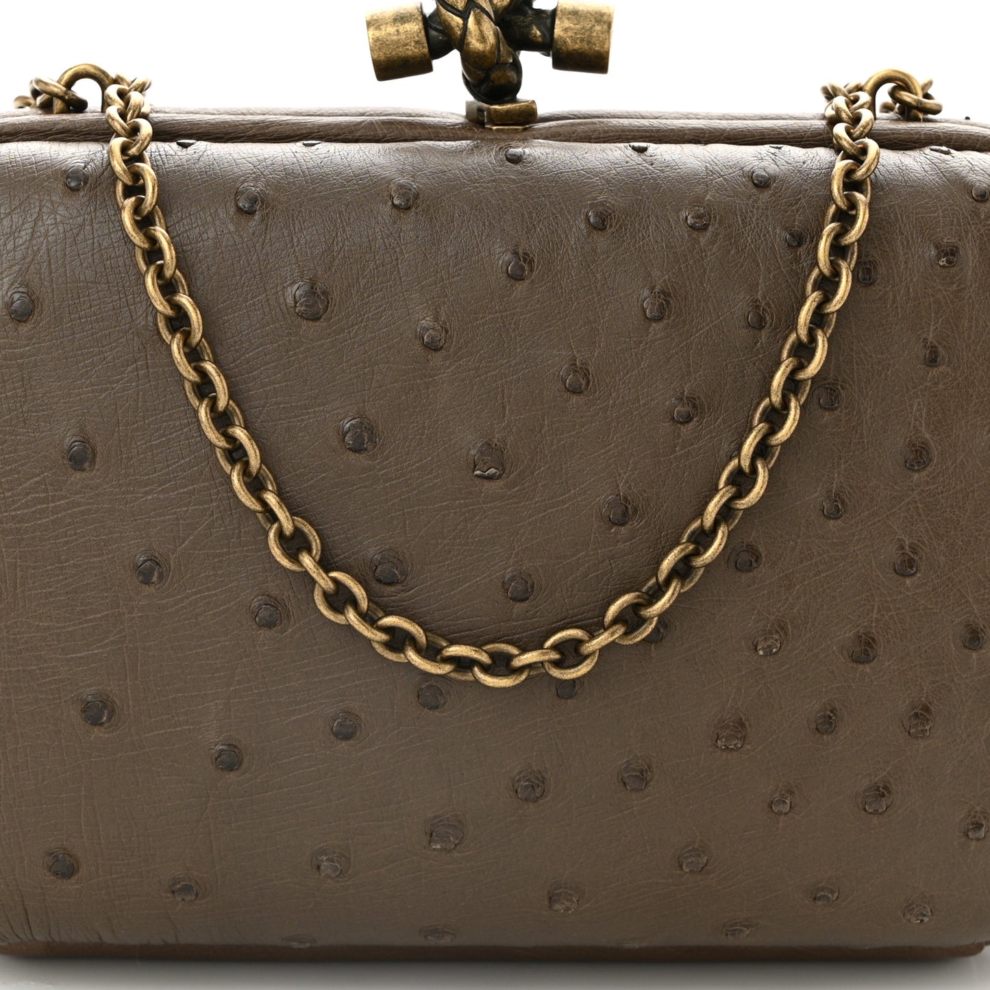 Ostrich Chain Knot Clutch New Steel