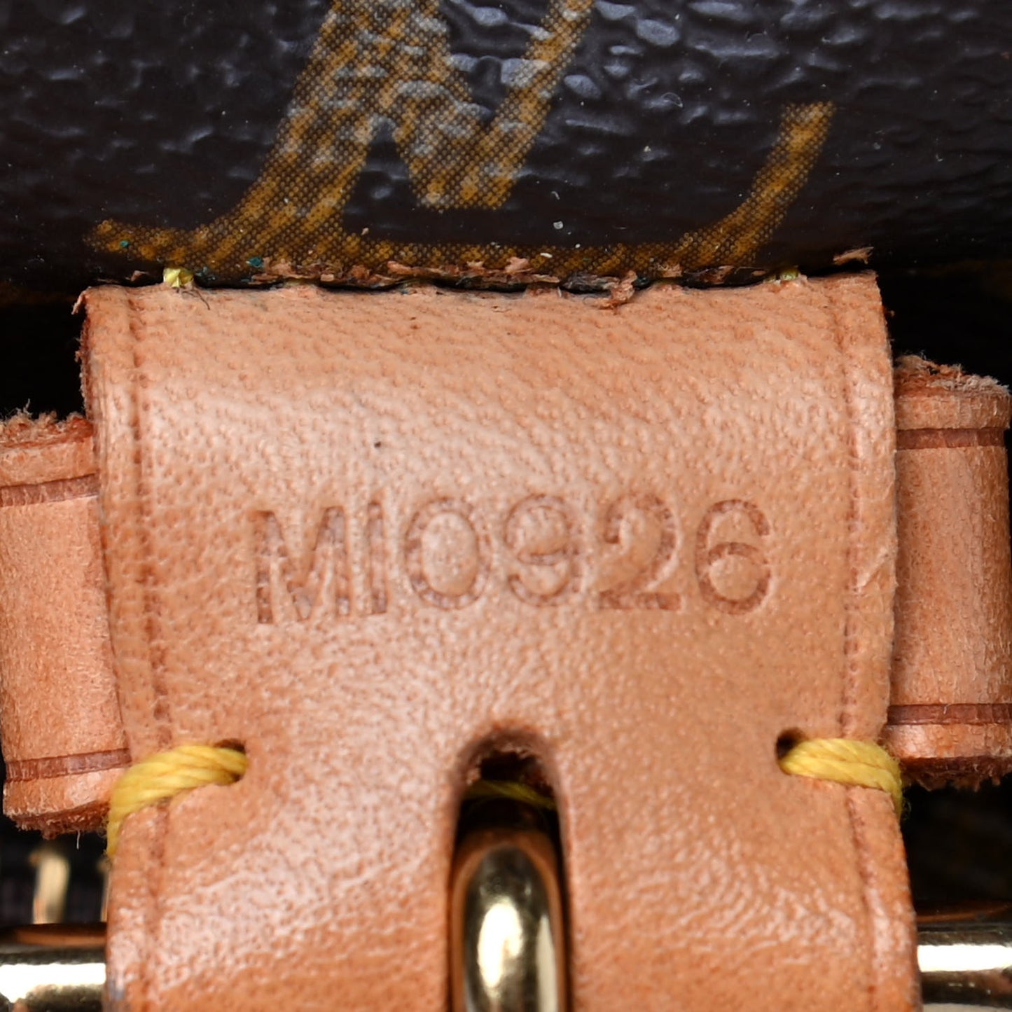 Monogram Montsouris GM Backpack