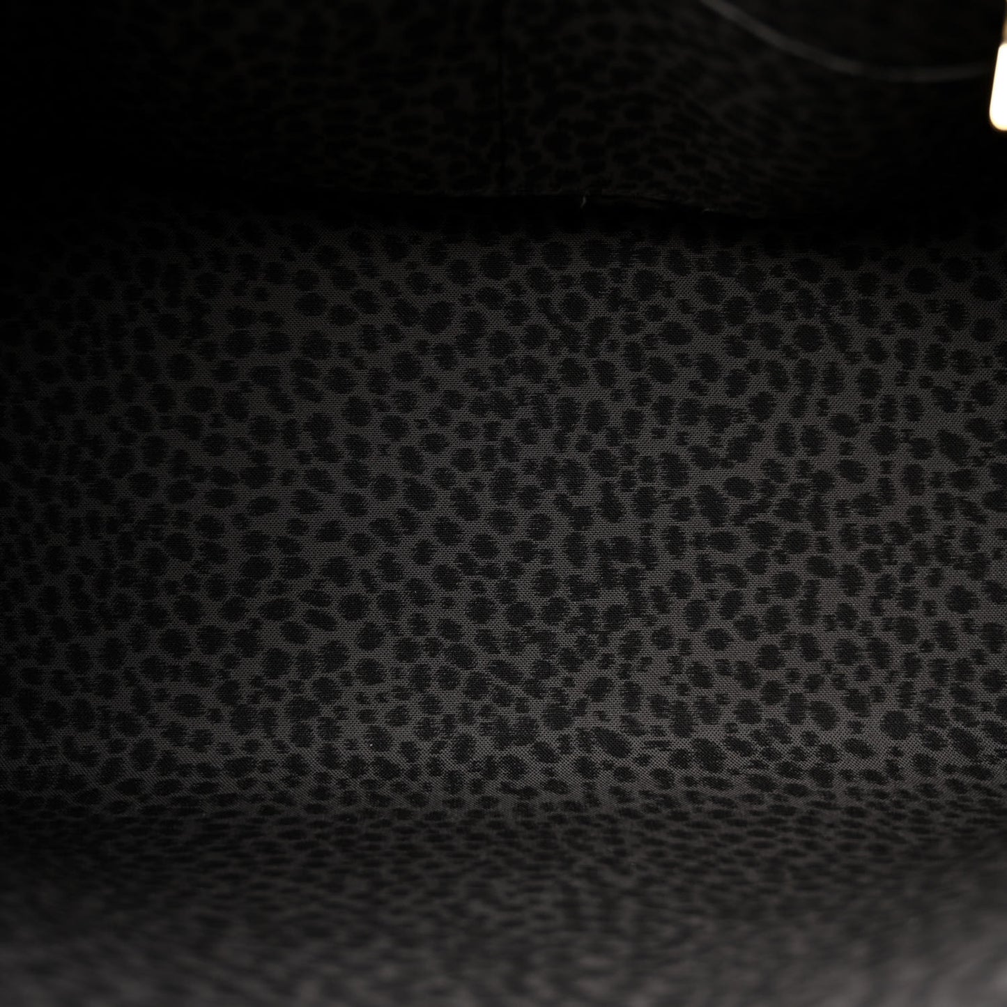 Monogram Giant Wild At Heart Onthego GM Arizona