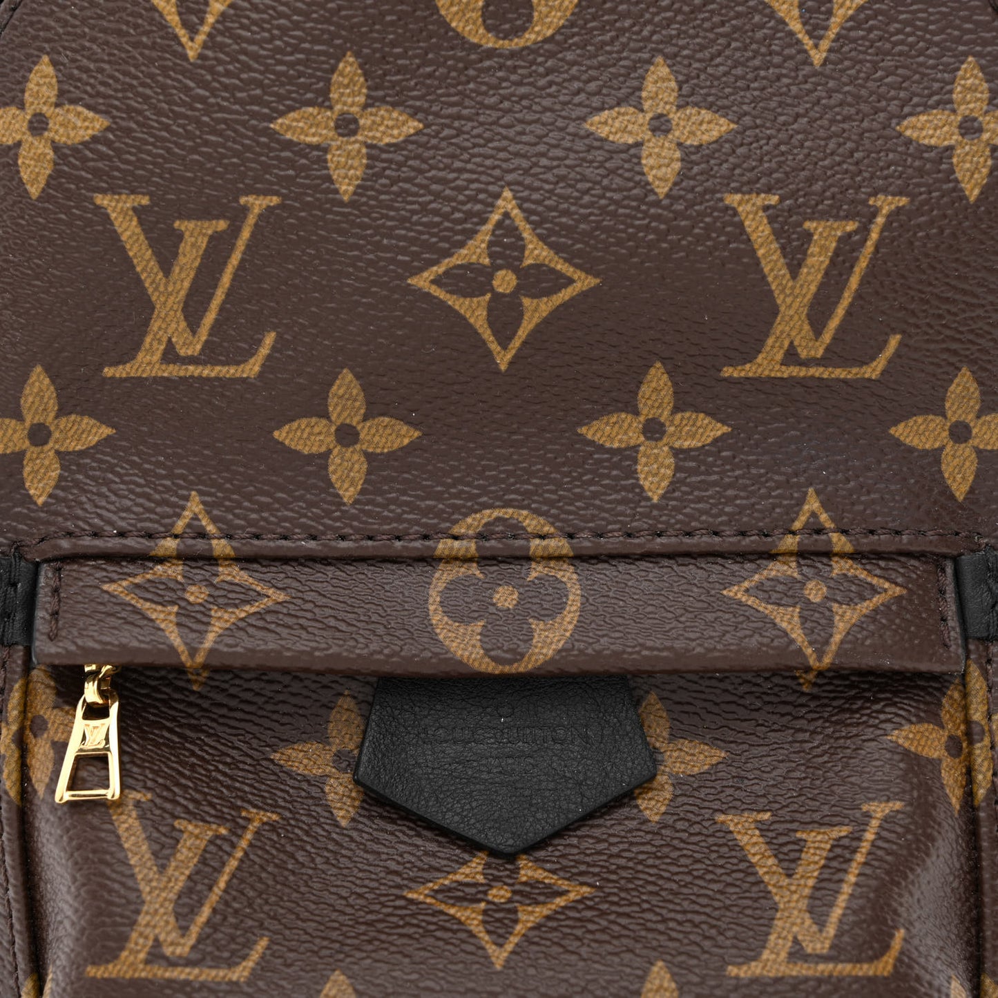 Monogram Palm Springs Backpack Mini