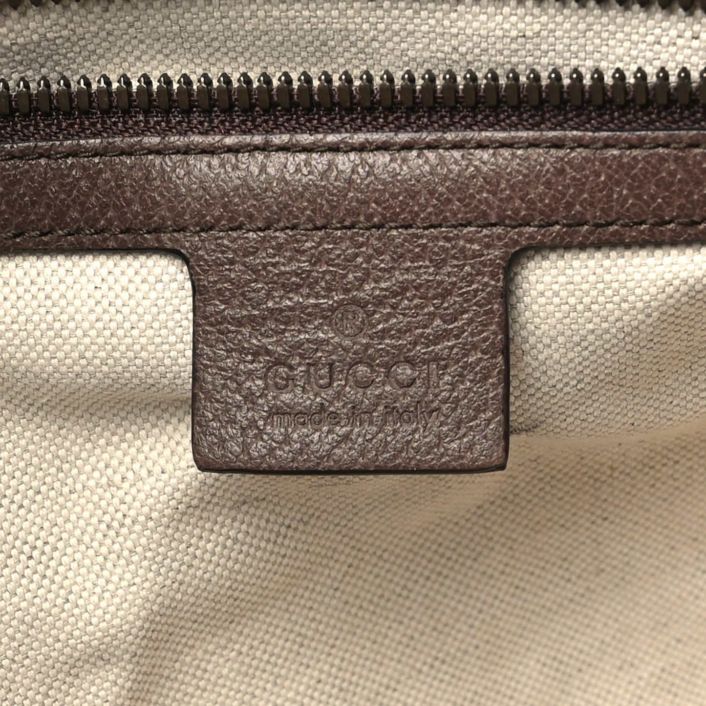 GG Supreme Monogram Web Small Ophidia Half Moon Hobo Brown