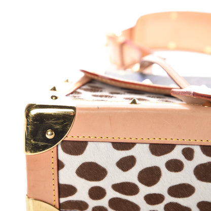 Louis Vuitton Monogram Multicolor Dalmatian Sac Rabat 12 of 14