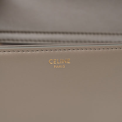 Celine Shiny Calfskin Teen Triomphe Pebble 6 of 13