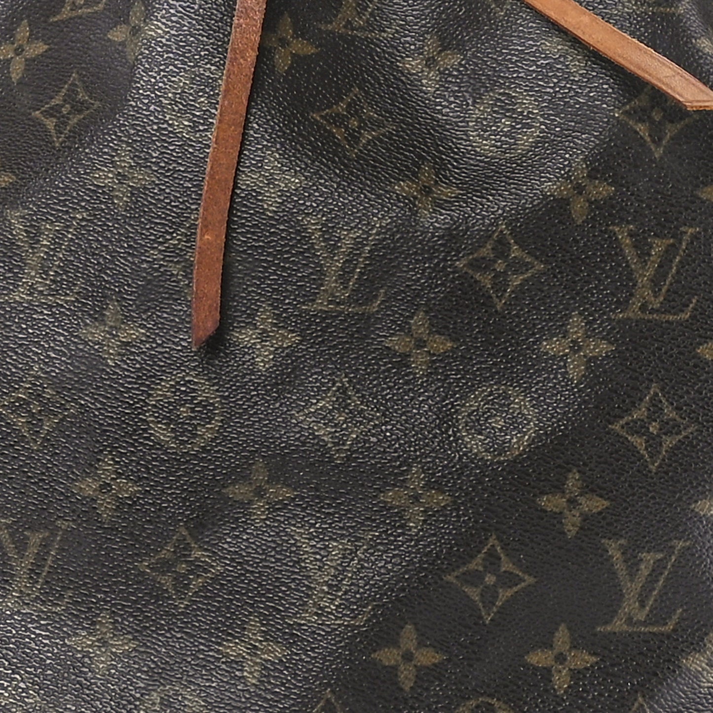 Monogram Petit Noe