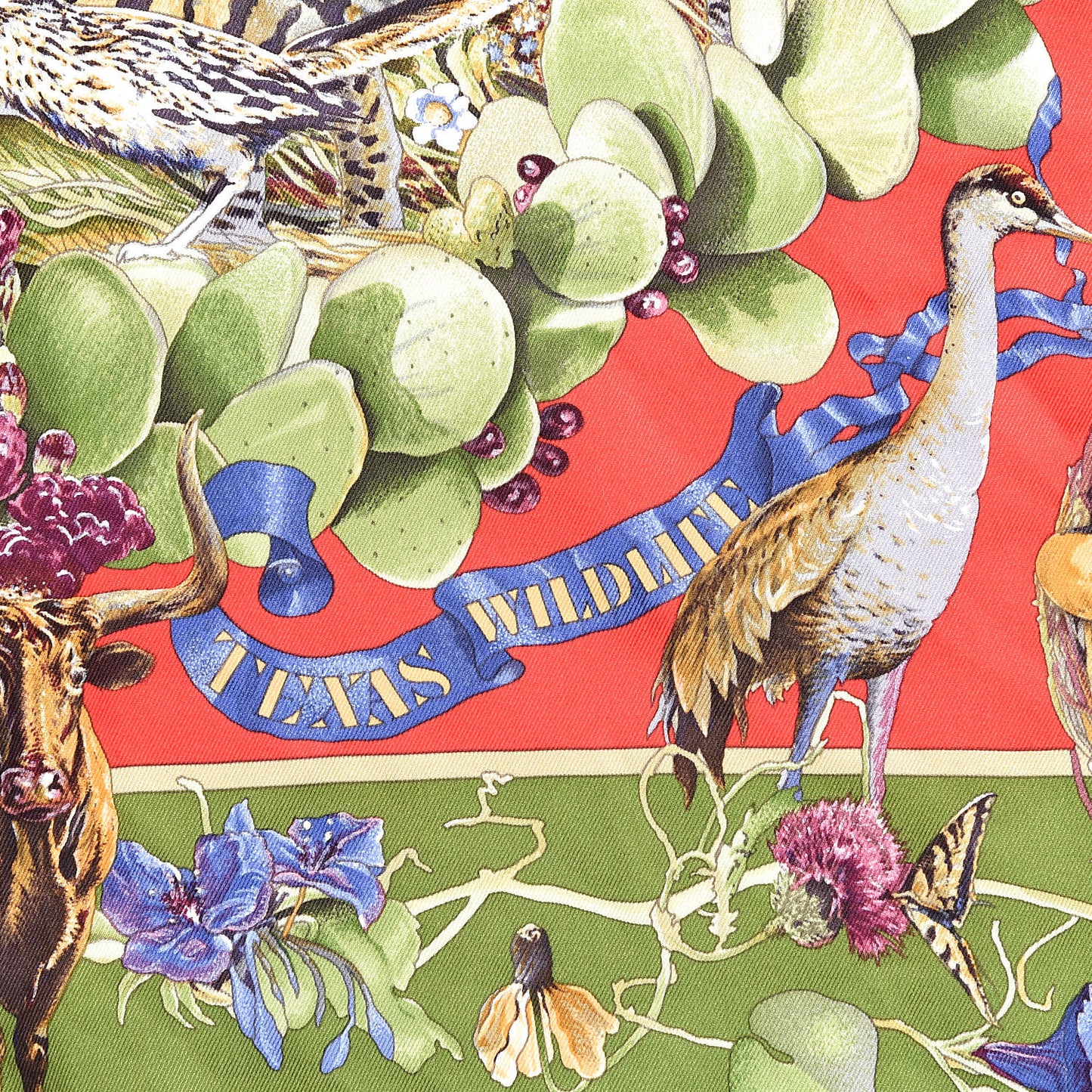Silk Faune Et Flore Du Texas Scarf 65
