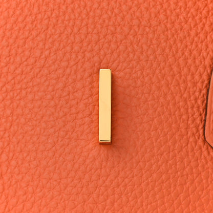 Hermes Togo Birkin 35 Orange 24 of 34