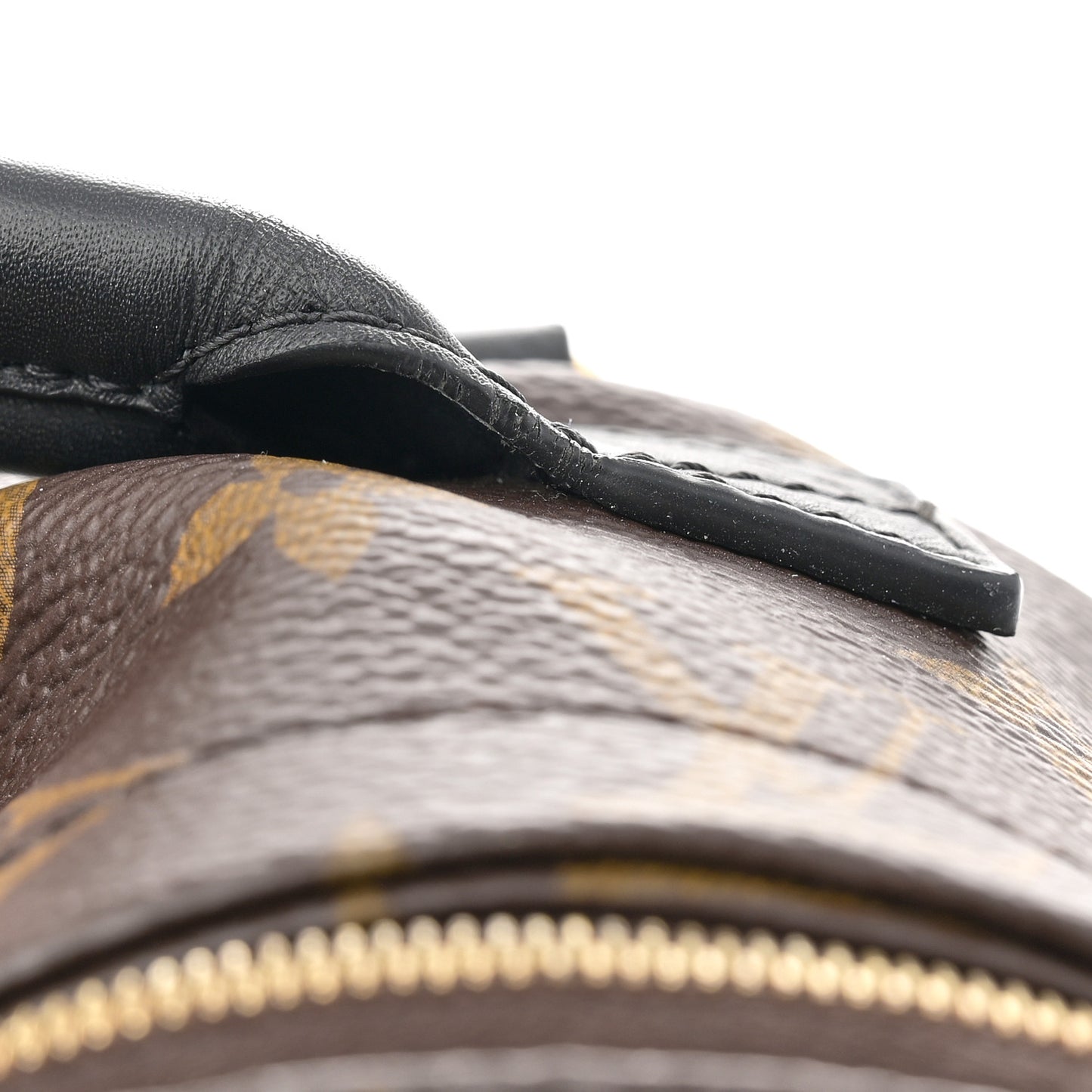 Monogram Palm Springs Backpack Mini
