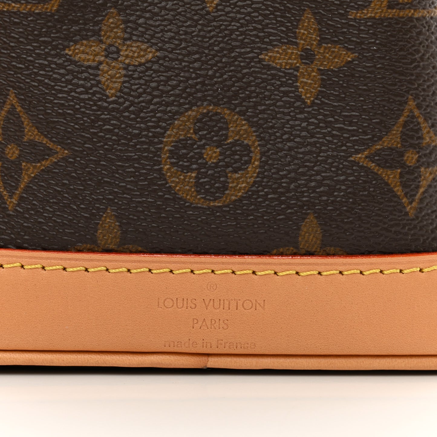 Monogram Nano Noe NV