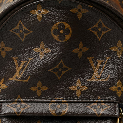 Louis Vuitton Monogram Palm Springs Backpack Mini 7 of 13