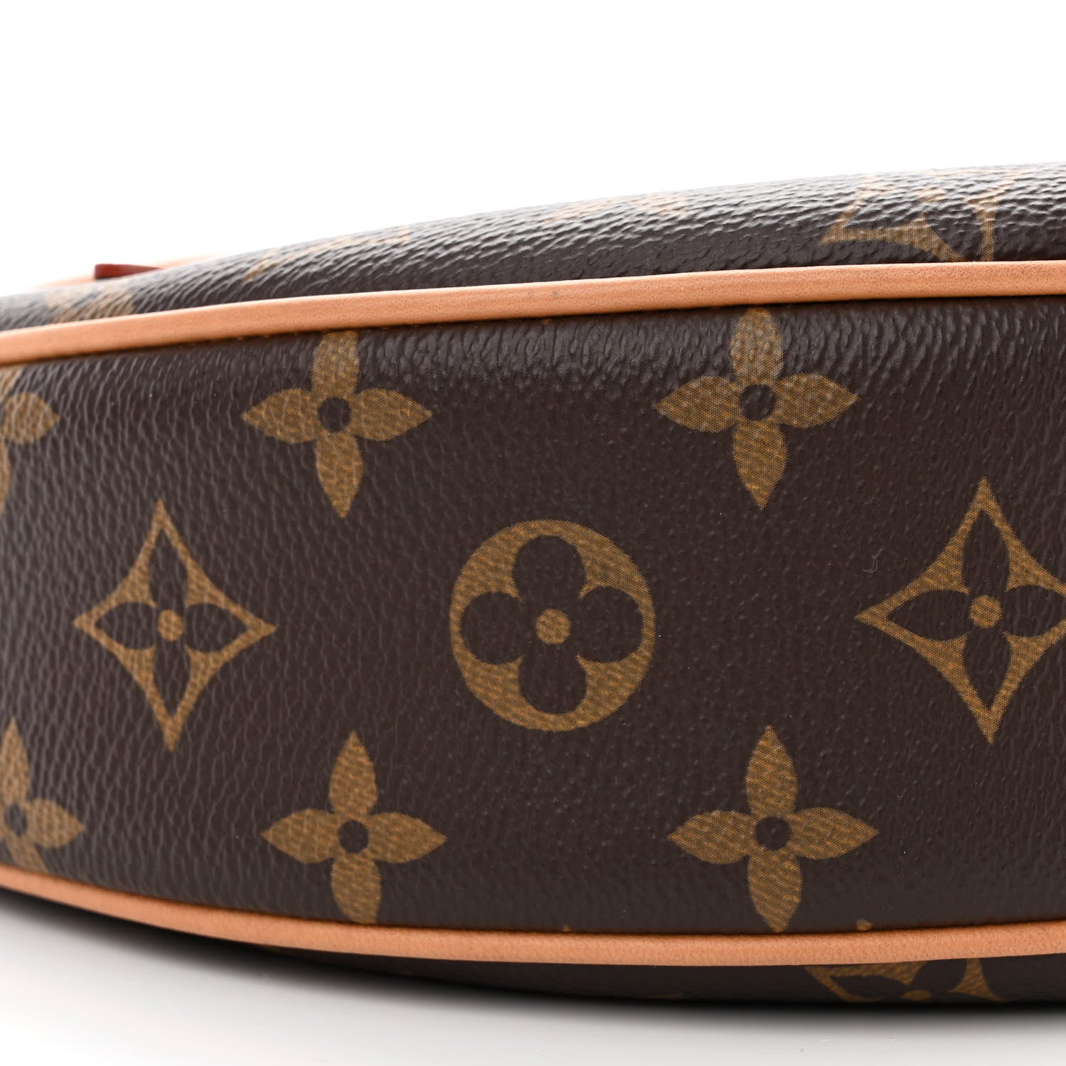 Louis Vuitton Monogram Loop 8 of 16