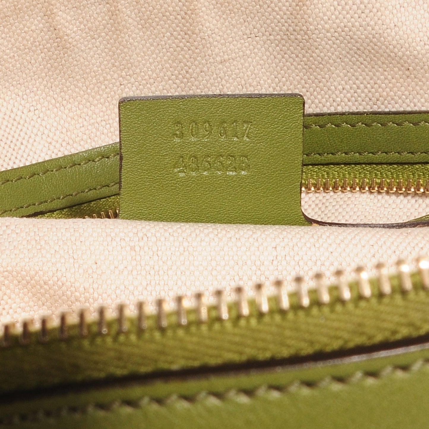 Microguccissima Small Nice Top Handle Bag Green