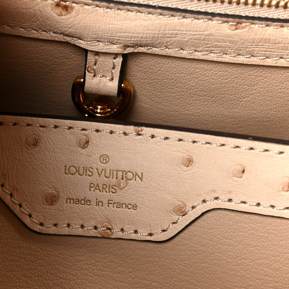 Louis Vuitton Ostrich Capucines PM Rose Champagne 7 of 10