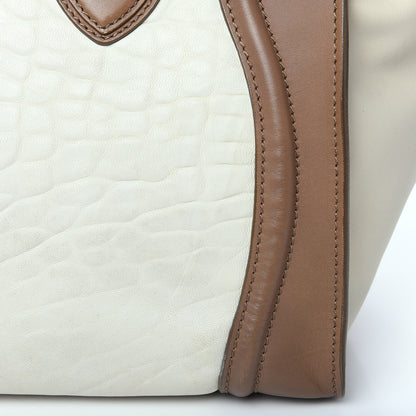 Celine Smooth Calfskin Shrunken Lambskin Mini Tri-Color Luggage Chalk 14 of 14