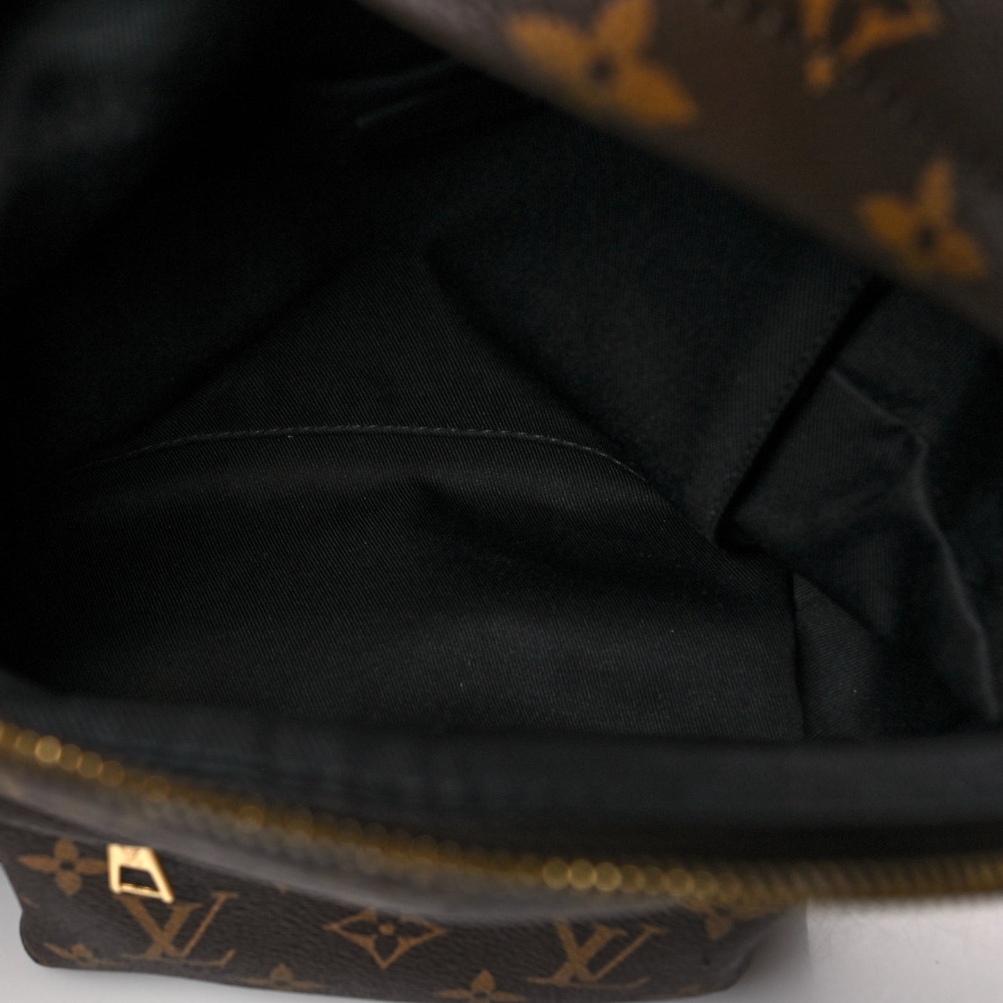 Monogram Palm Springs Backpack PM