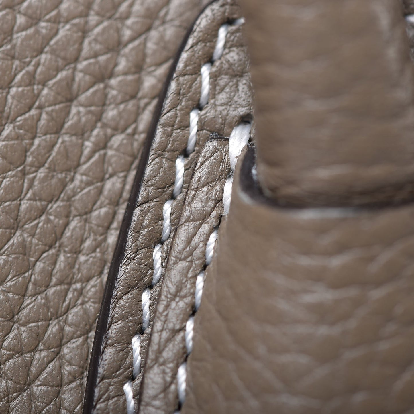 Drummed Calfskin Nano Luggage Souris