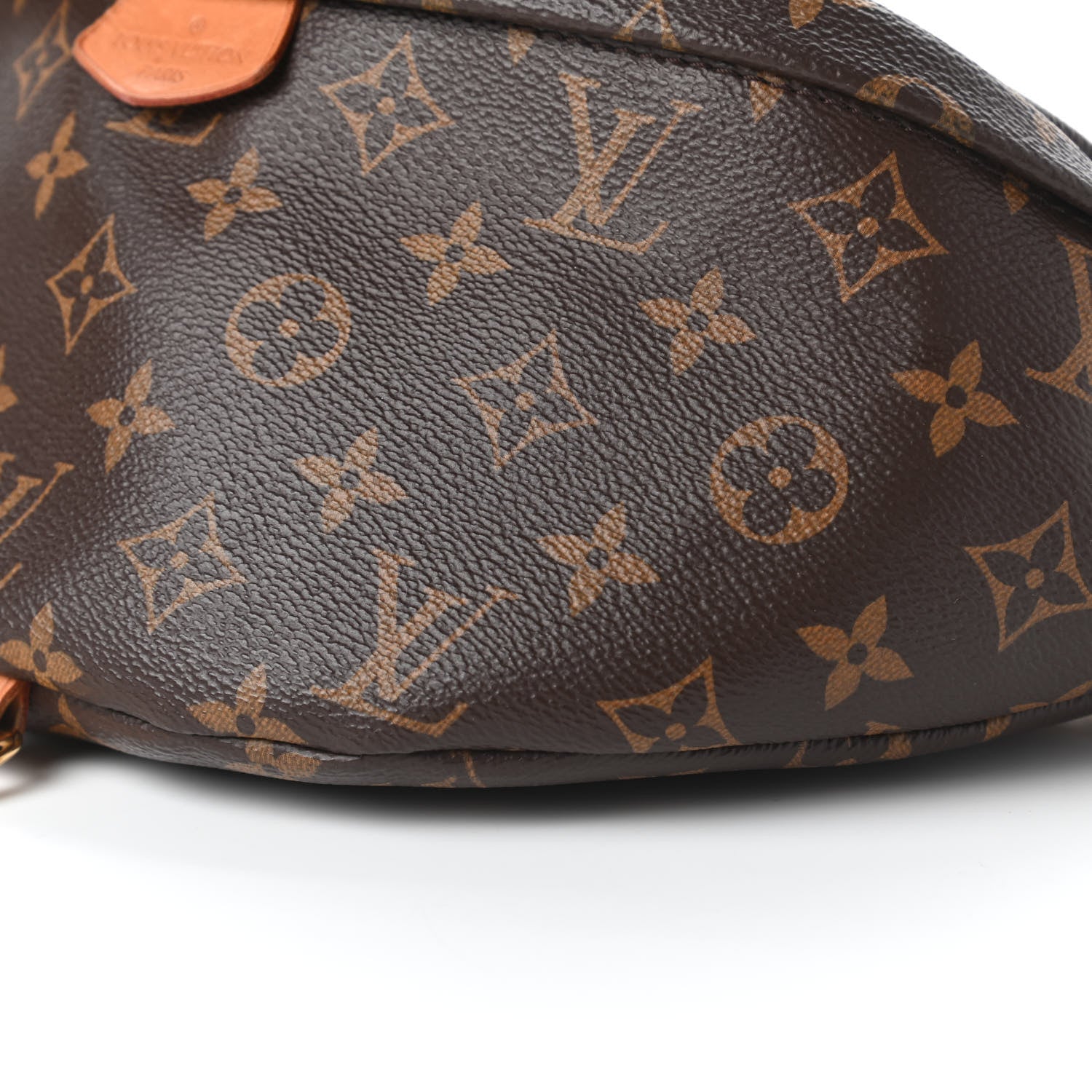 Louis Vuitton Monogram Bumbag 7 of 10