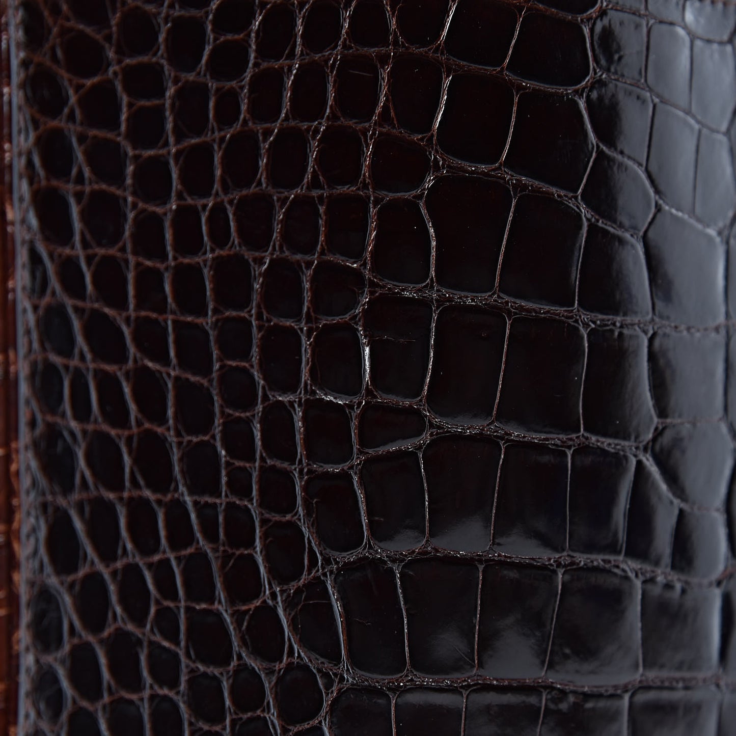 Shiny Crocodile Top Handle Tote Chocolate