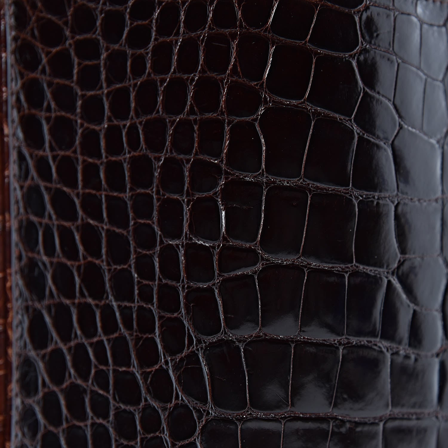 Chanel Shiny Crocodile Top Handle Tote Chocolate 11 of 19