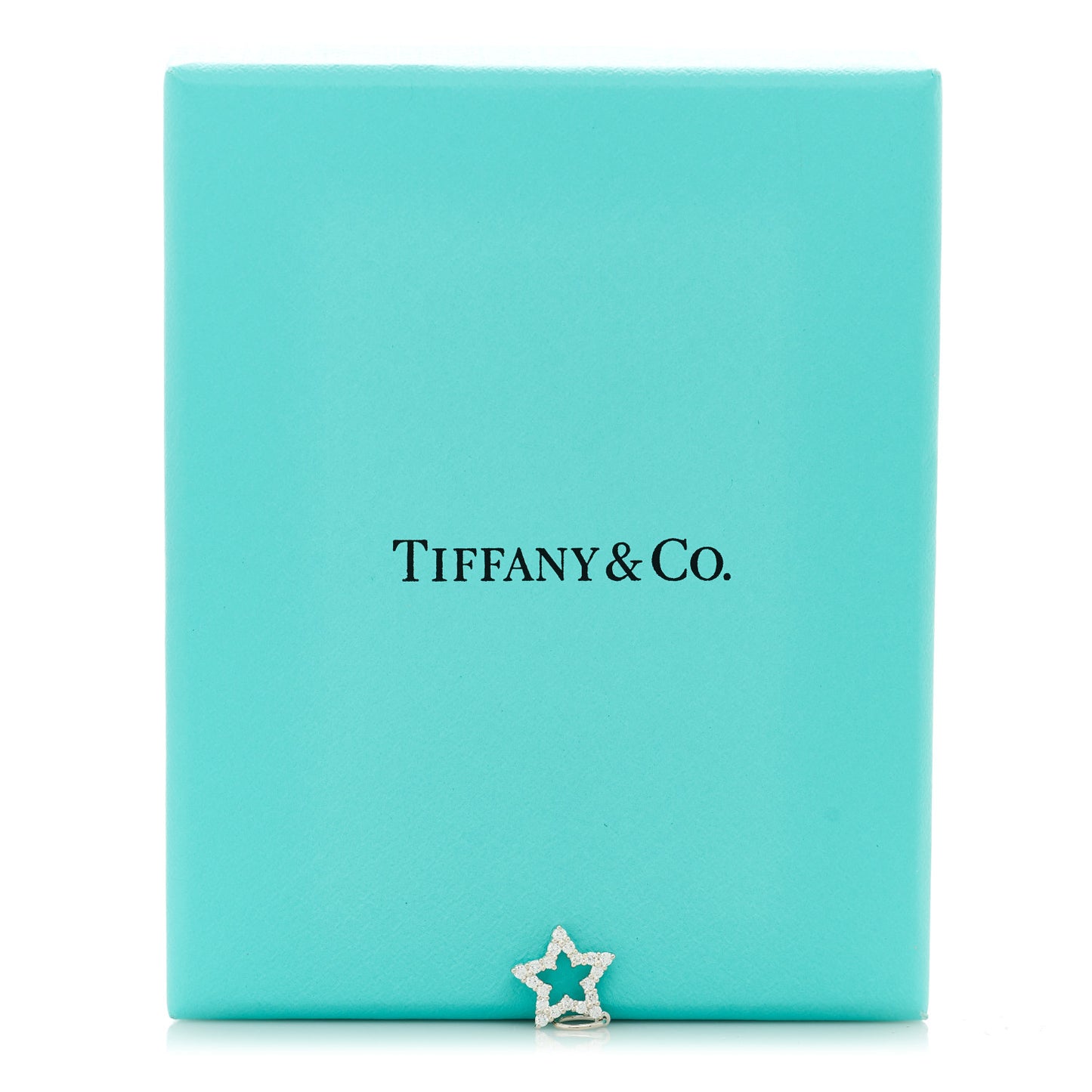 Platinum Diamond Star Charm