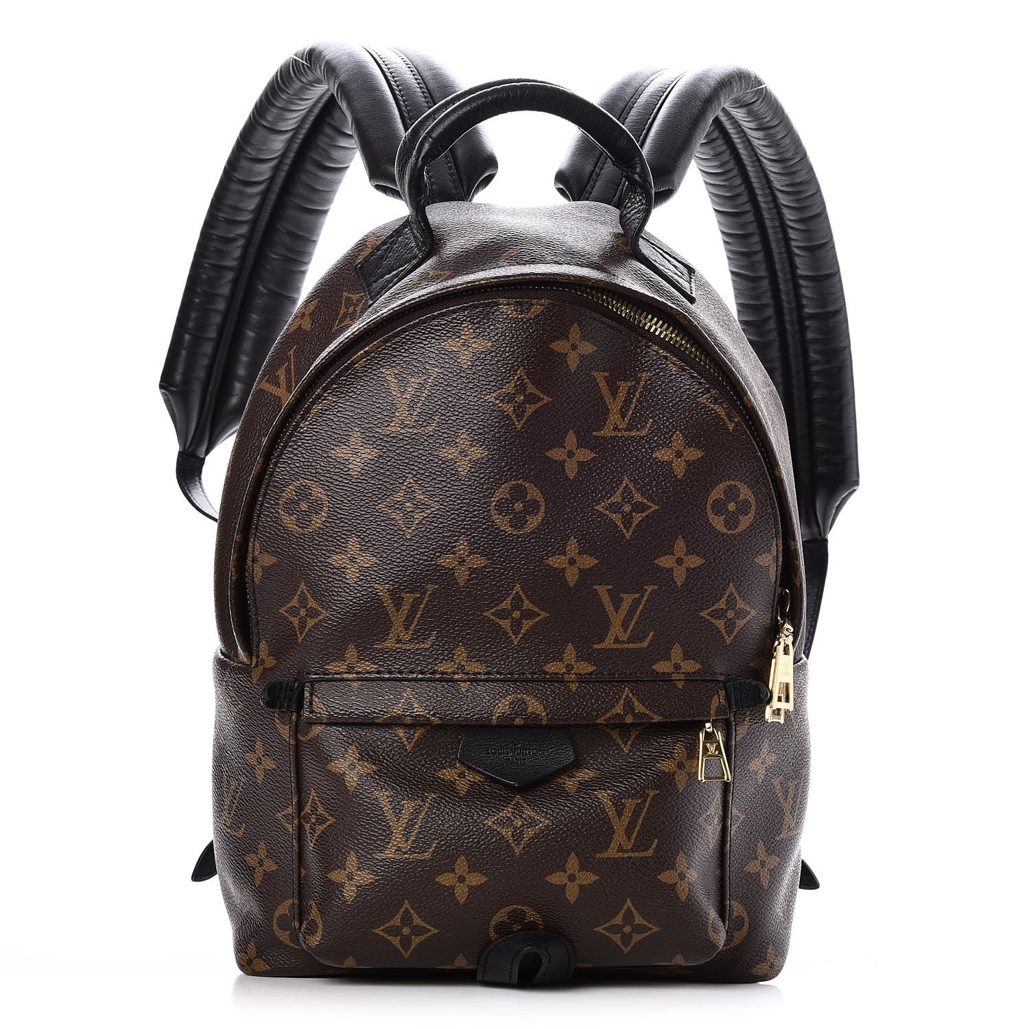 Louis Vuitton Monogram Palm Springs Backpack PM 1 of 8