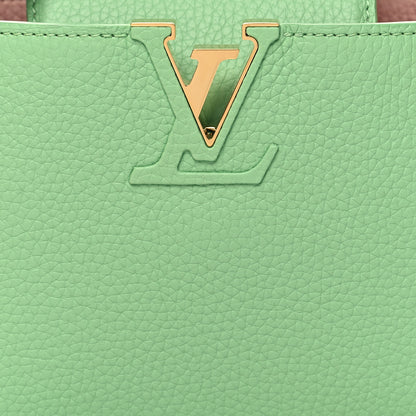 Louis Vuitton Taurillon Mini Capucines Vert Pomme 8 of 11