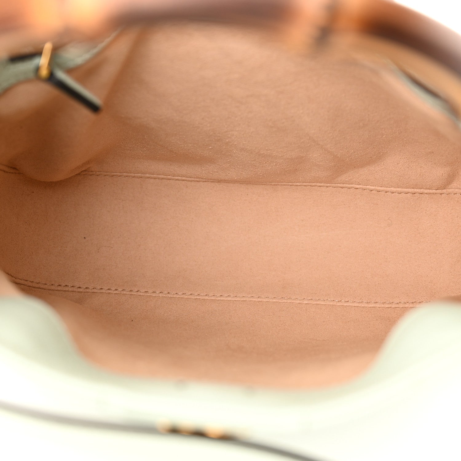 Gucci Softy Wonka Textured Dollar Calfskin Small Diana Shoulder Bag Pale Green 5 of 10
