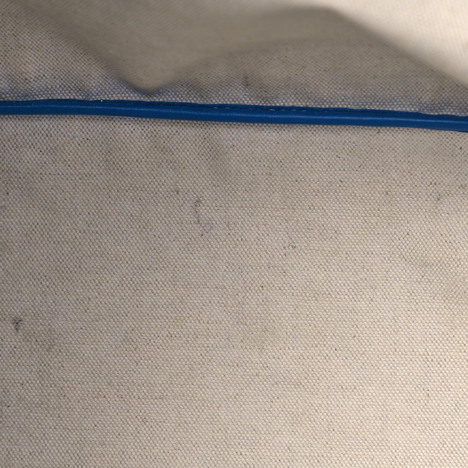 Goyard Goyardine Saint Louis PM Sky Blue 26 of 29