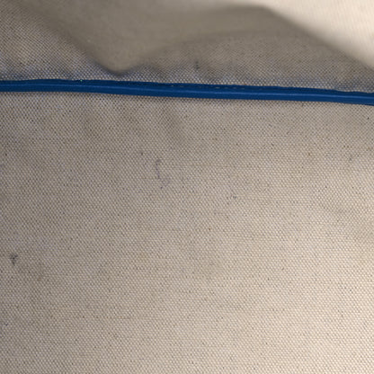Goyard Goyardine Saint Louis PM Sky Blue 26 of 29