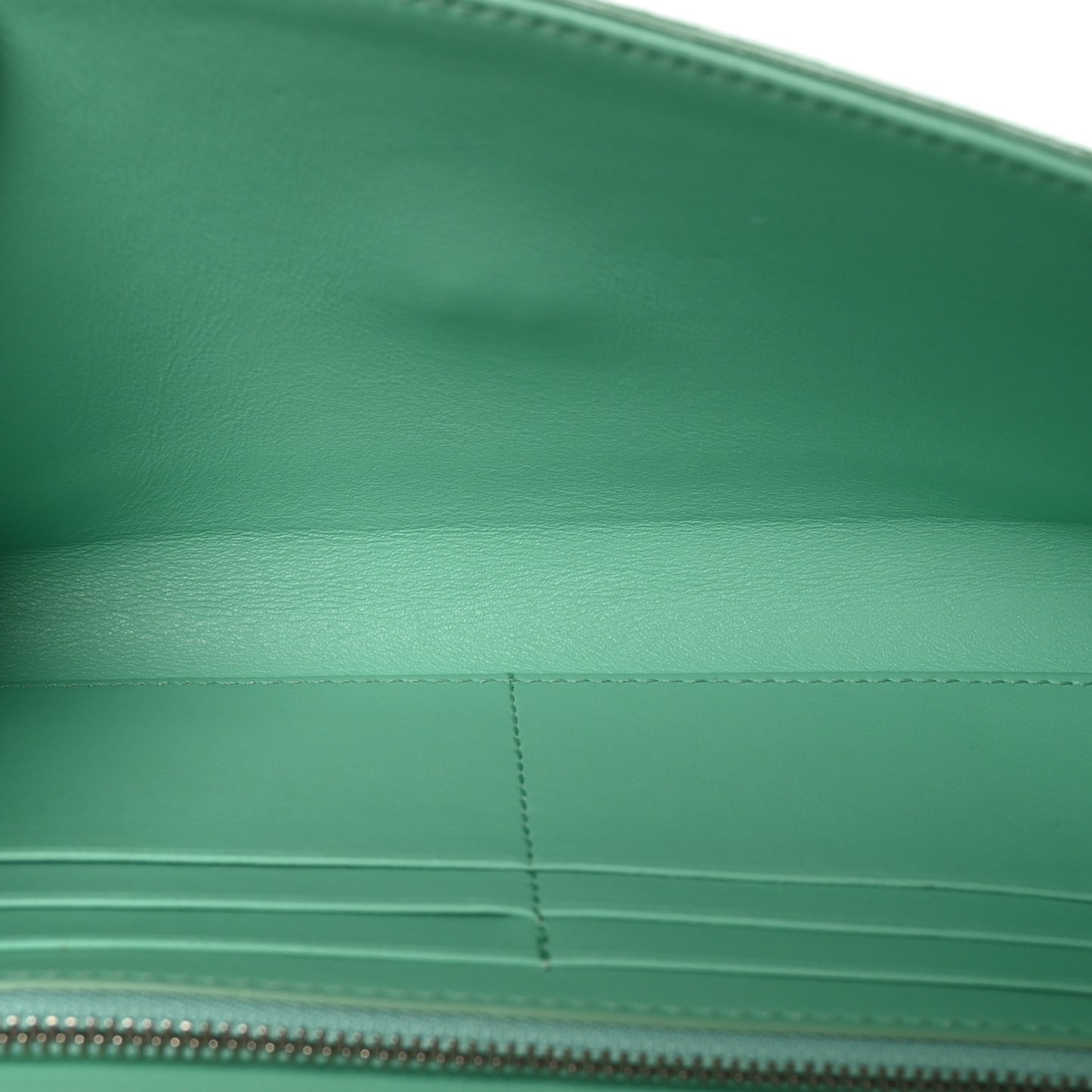 Snakeskin Embossed Chain Clutch Miami Mint