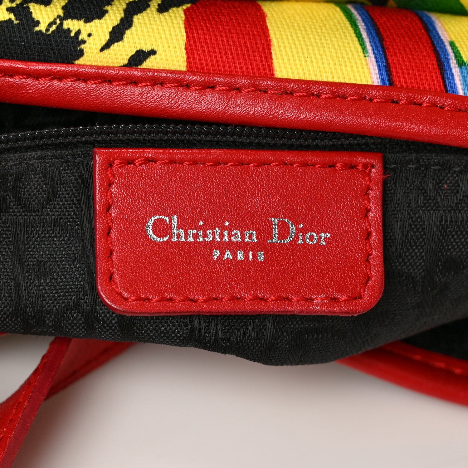 Christian Dior Canvas Bob Marley Saddle Bag Multicolor 6 of 9