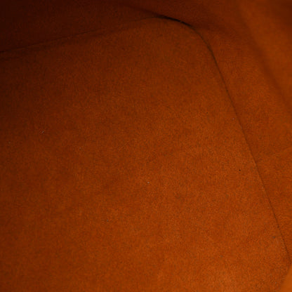 Louis Vuitton Epi Petit Noe Kenyan Fawn 11 of 14