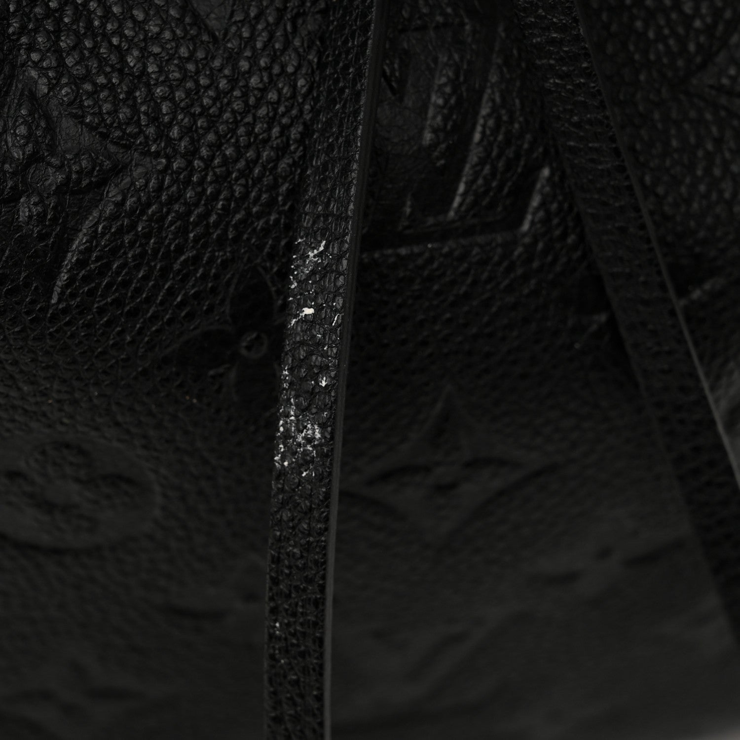 Louis Vuitton Empreinte Neonoe MM Black 14 of 14