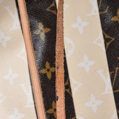 Louis Vuitton Monogram Rayures Noe 10 of 11