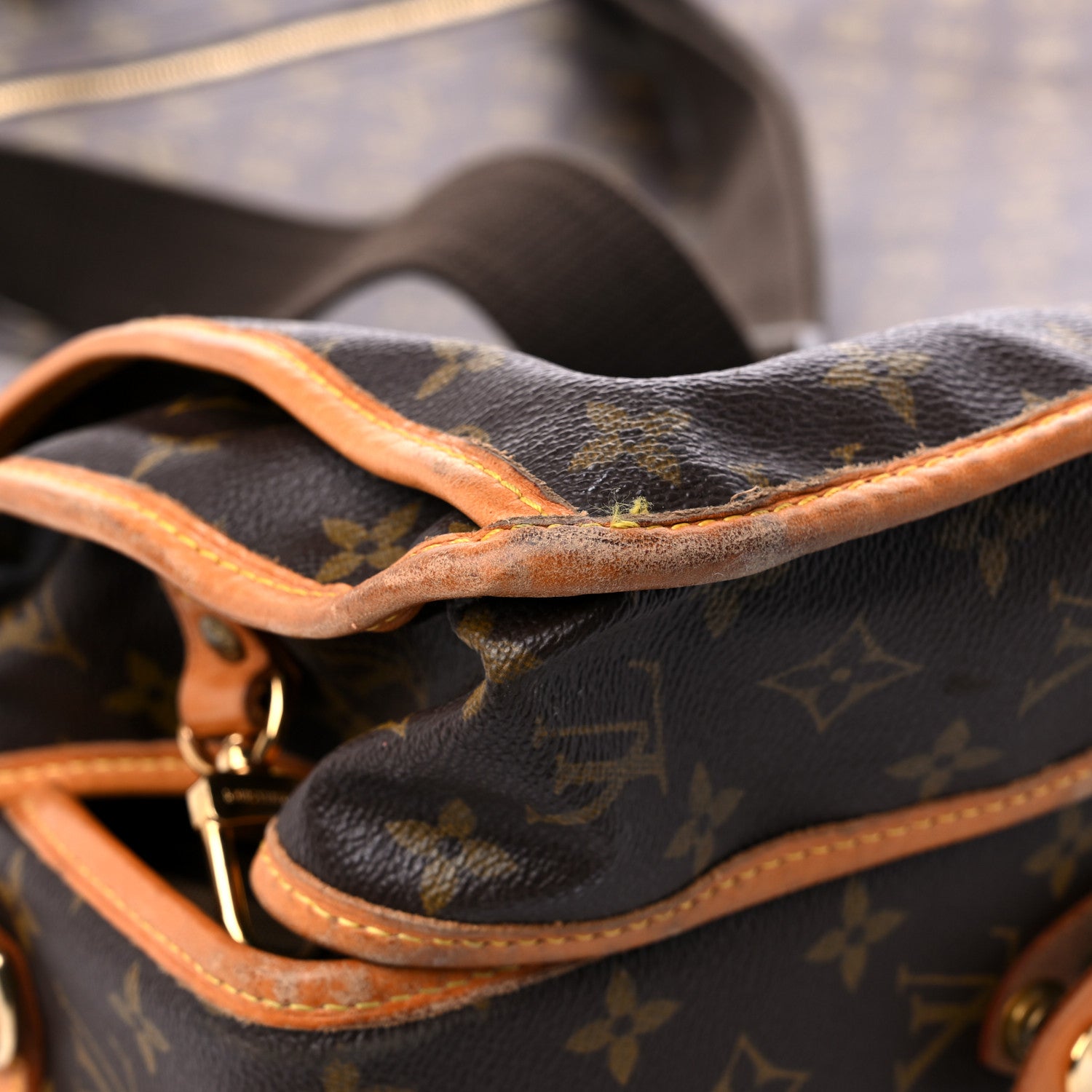 Louis Vuitton Monogram Garment Bag 5 Hangers 6 of 24