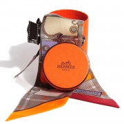 Hermes Silk Camails Twilly 6 of 12
