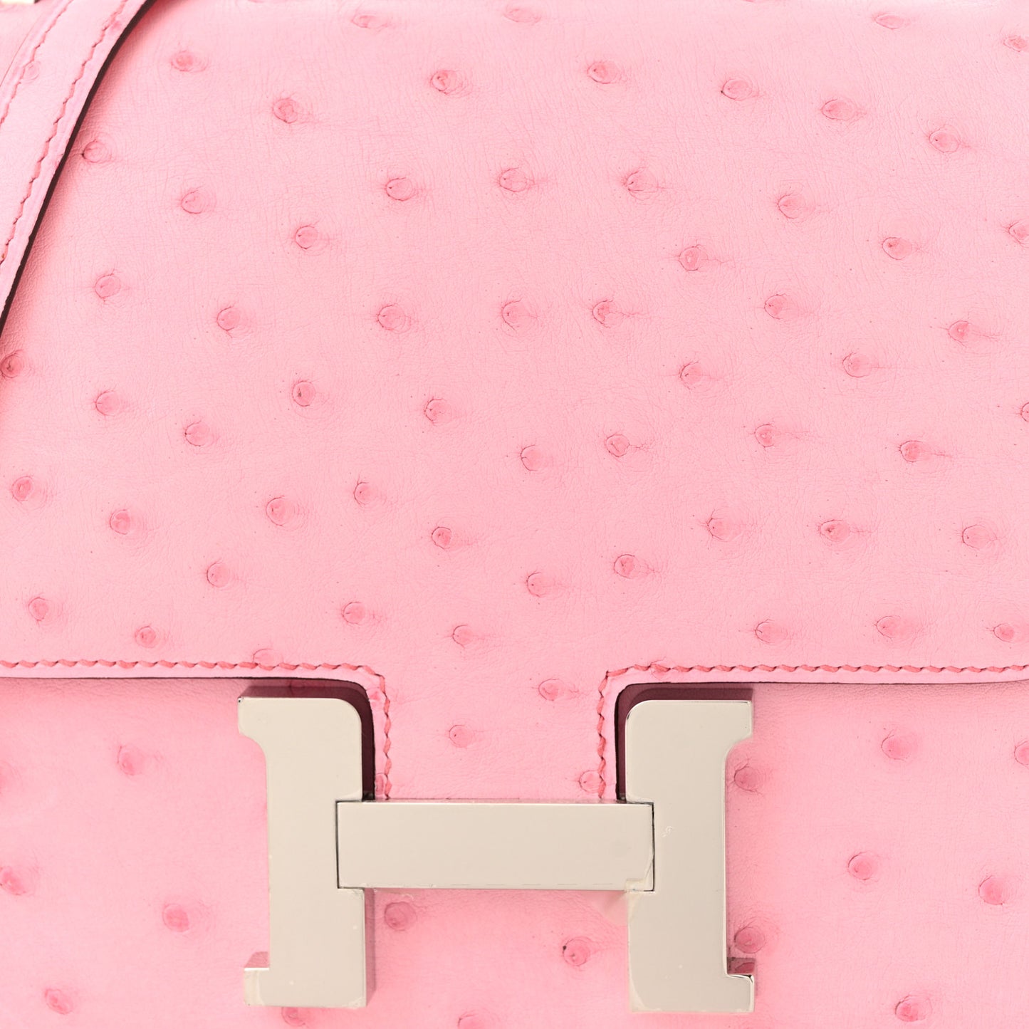 Ostrich Constance 18 Bubblegum