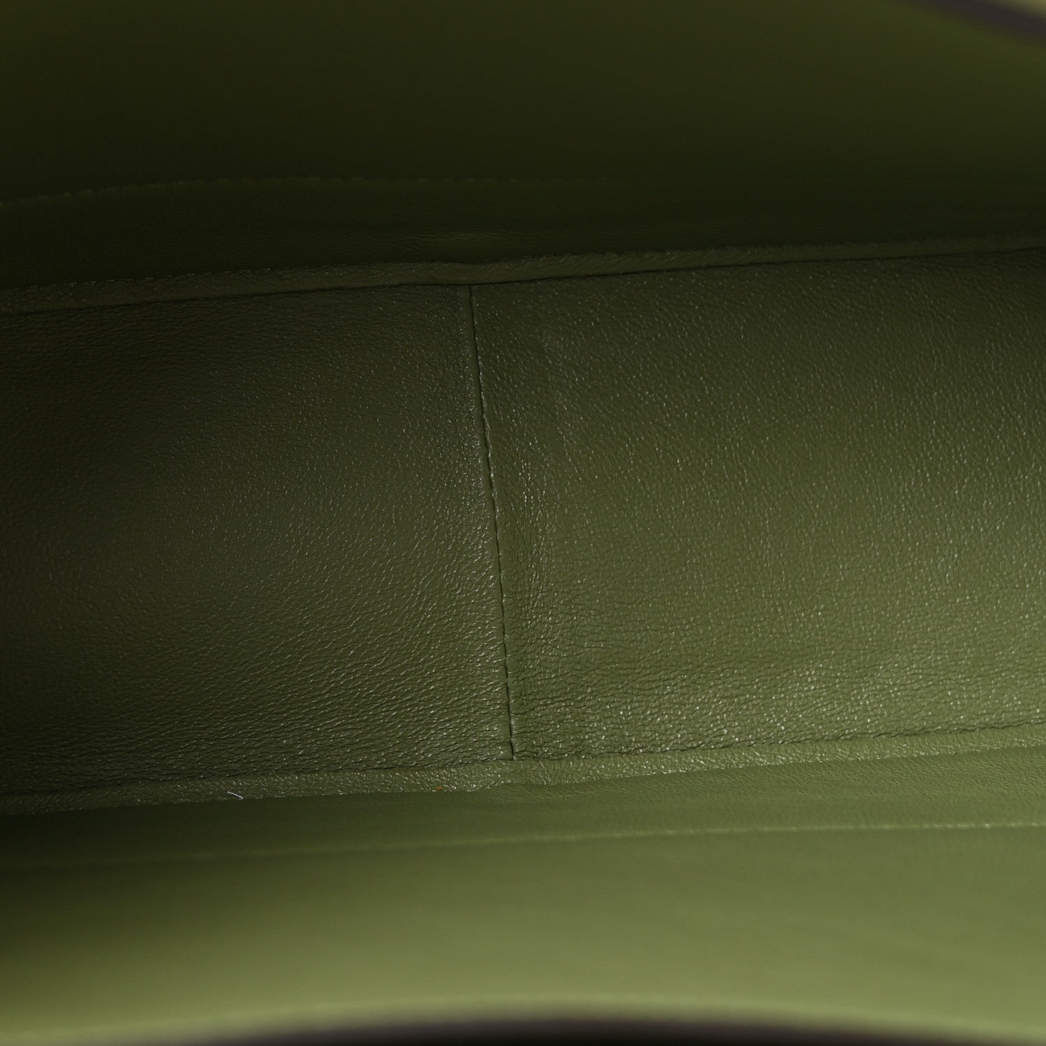 Celine Shiny Smooth Calfskin Medium Frame Shoulder Bag Olive Pastel Green 4 of 12