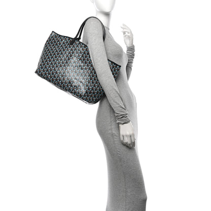 Goyard Goyardine Saint Louis Claire Voie PM Black Blue 2 of 11