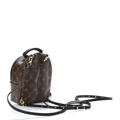 Louis Vuitton Monogram Palm Springs Backpack Mini 3 of 7