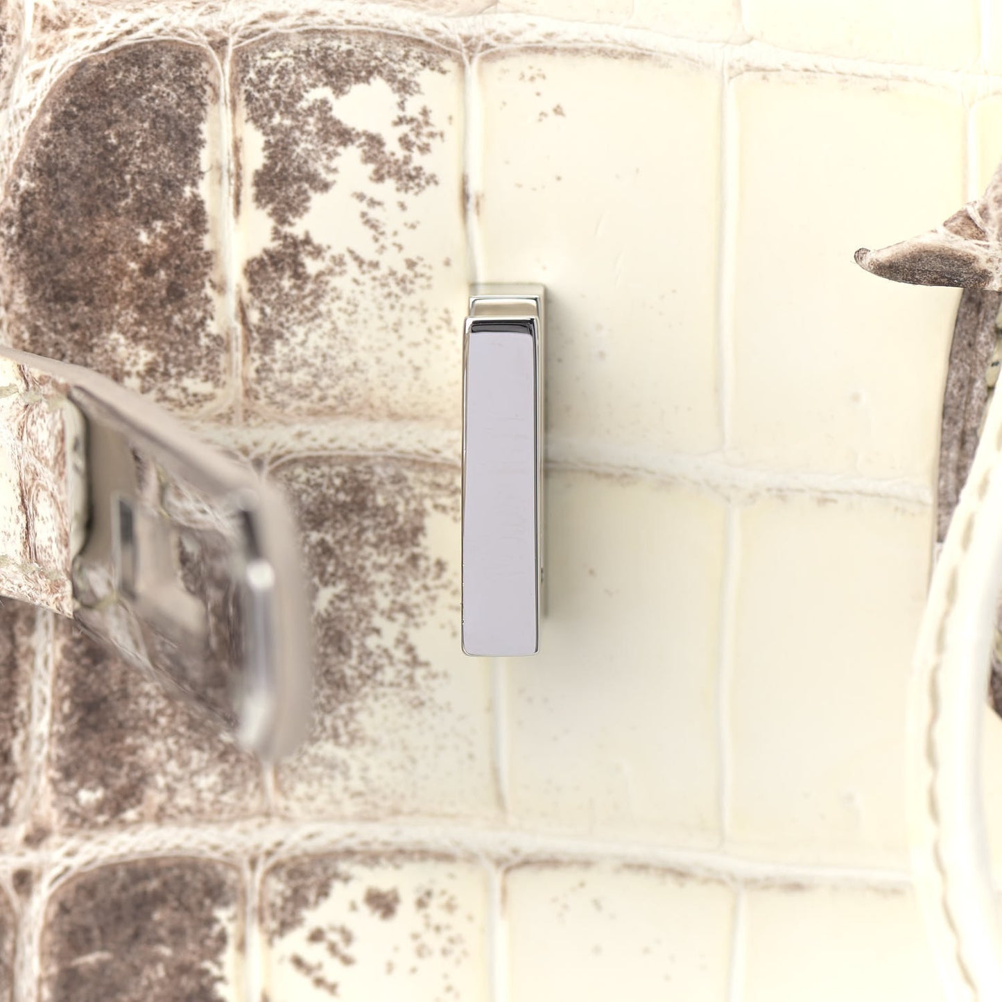 Matte Niloticus Crocodile Himalaya Birkin 25 Blanc