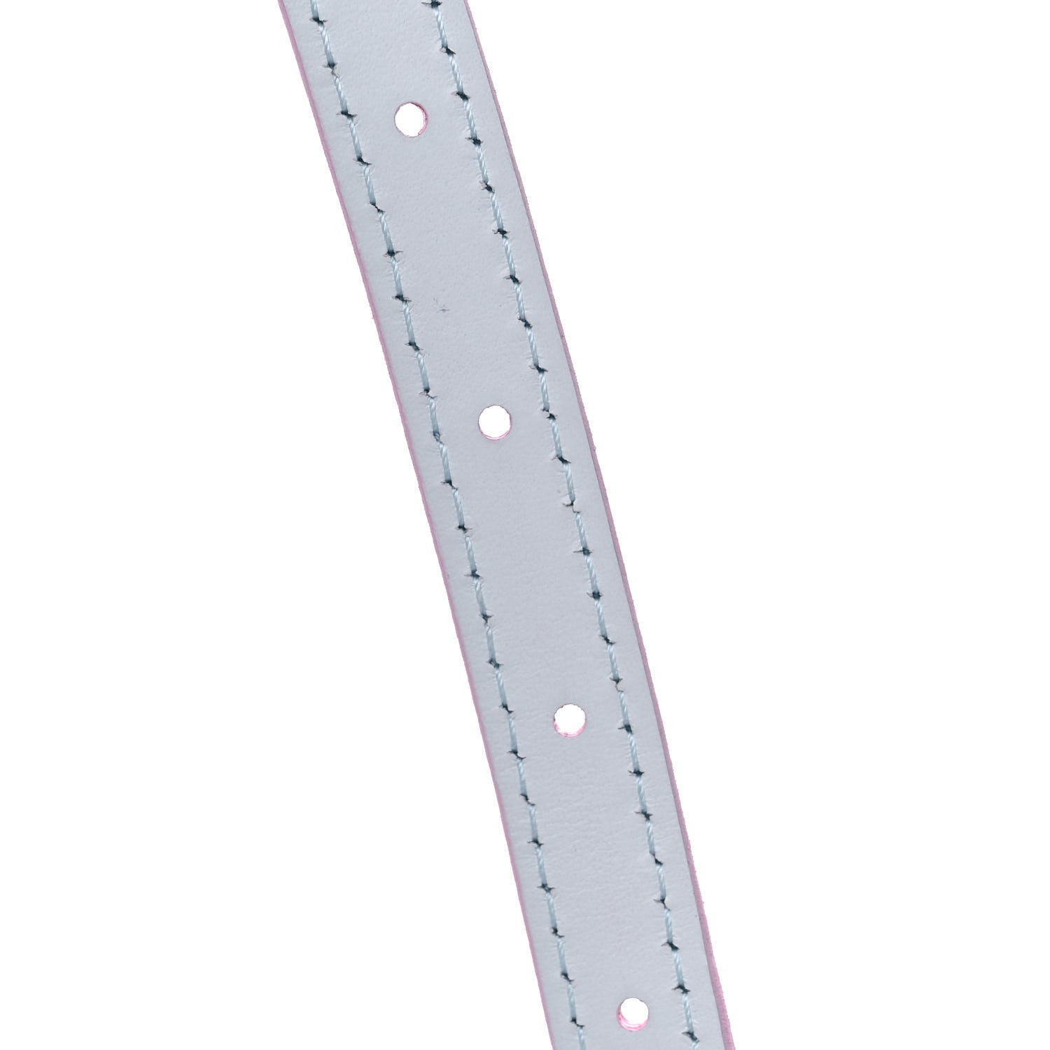 Louis Vuitton Monogram Giant Spring In The City Petit Sac Plat Sunrise Pastel 9 of 10