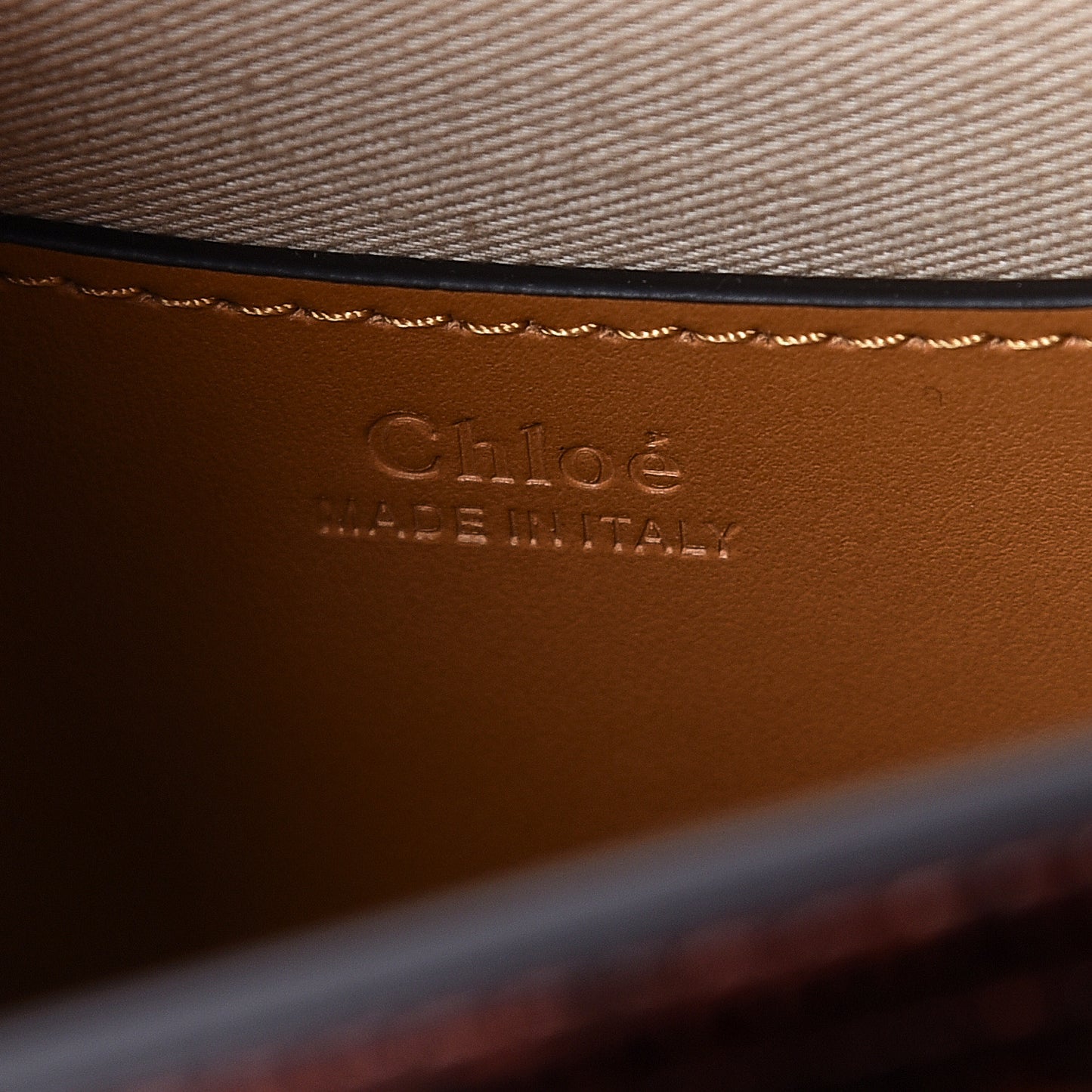 Calfskin Lizard Embossed Small Tess Bag Sepia Brown