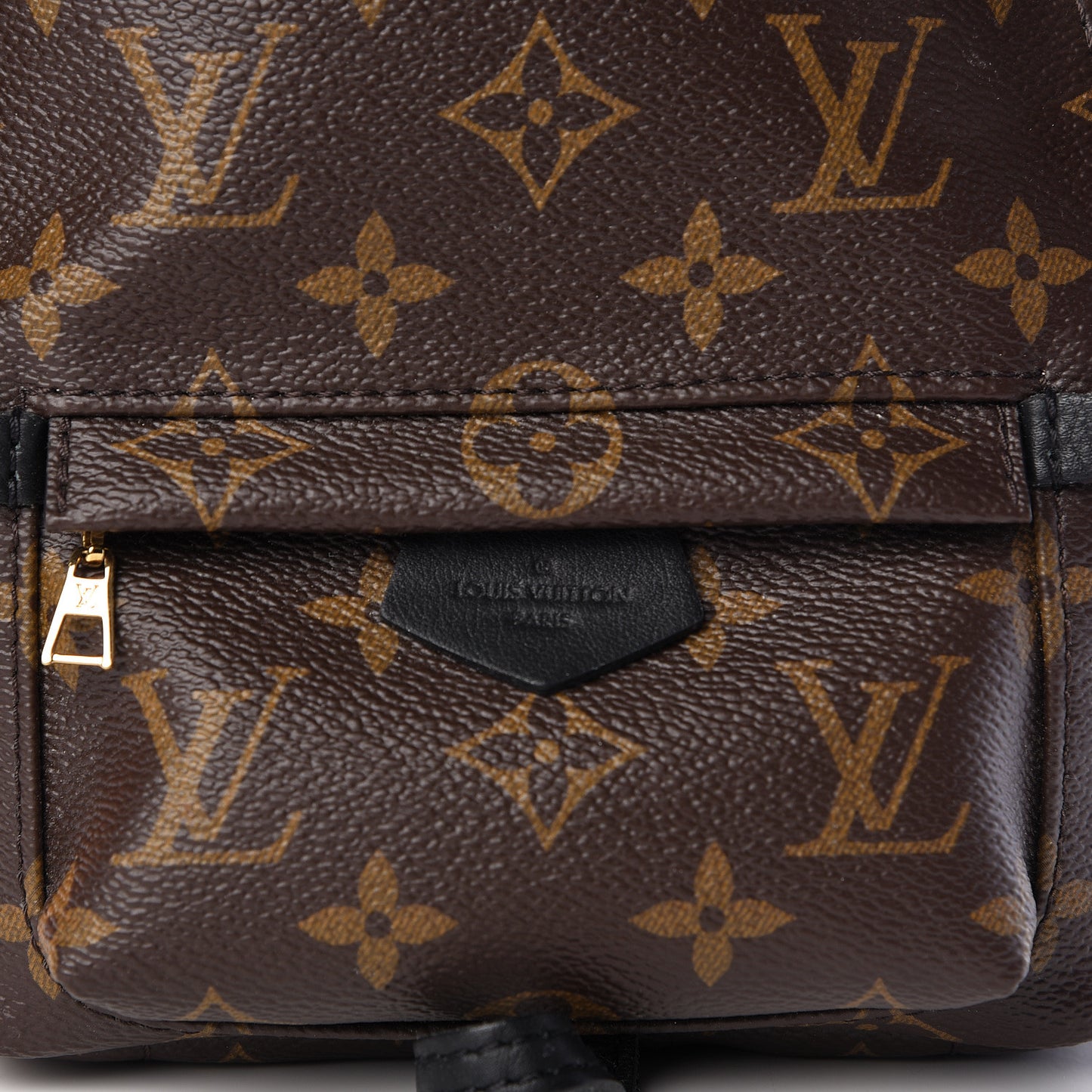 Monogram Palm Springs Backpack Mini