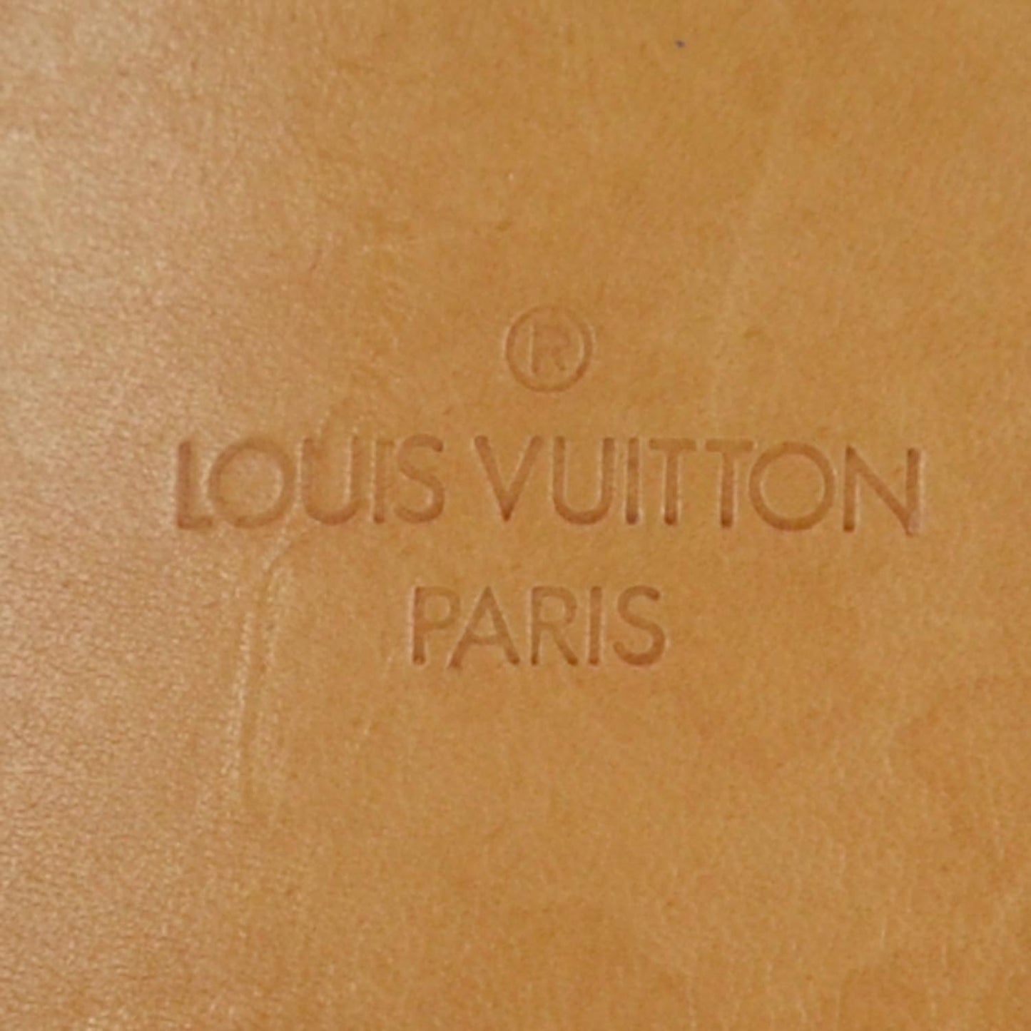 Monogram Excursion Shoe Bag