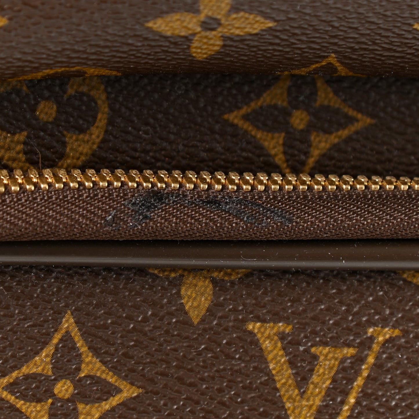 Monogram Pegase 55 Business