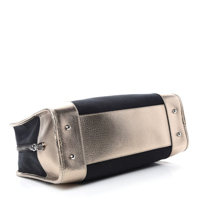 Loewe Metallic Goatskin Canvas Amazona 36 Black Silver 4 of 9