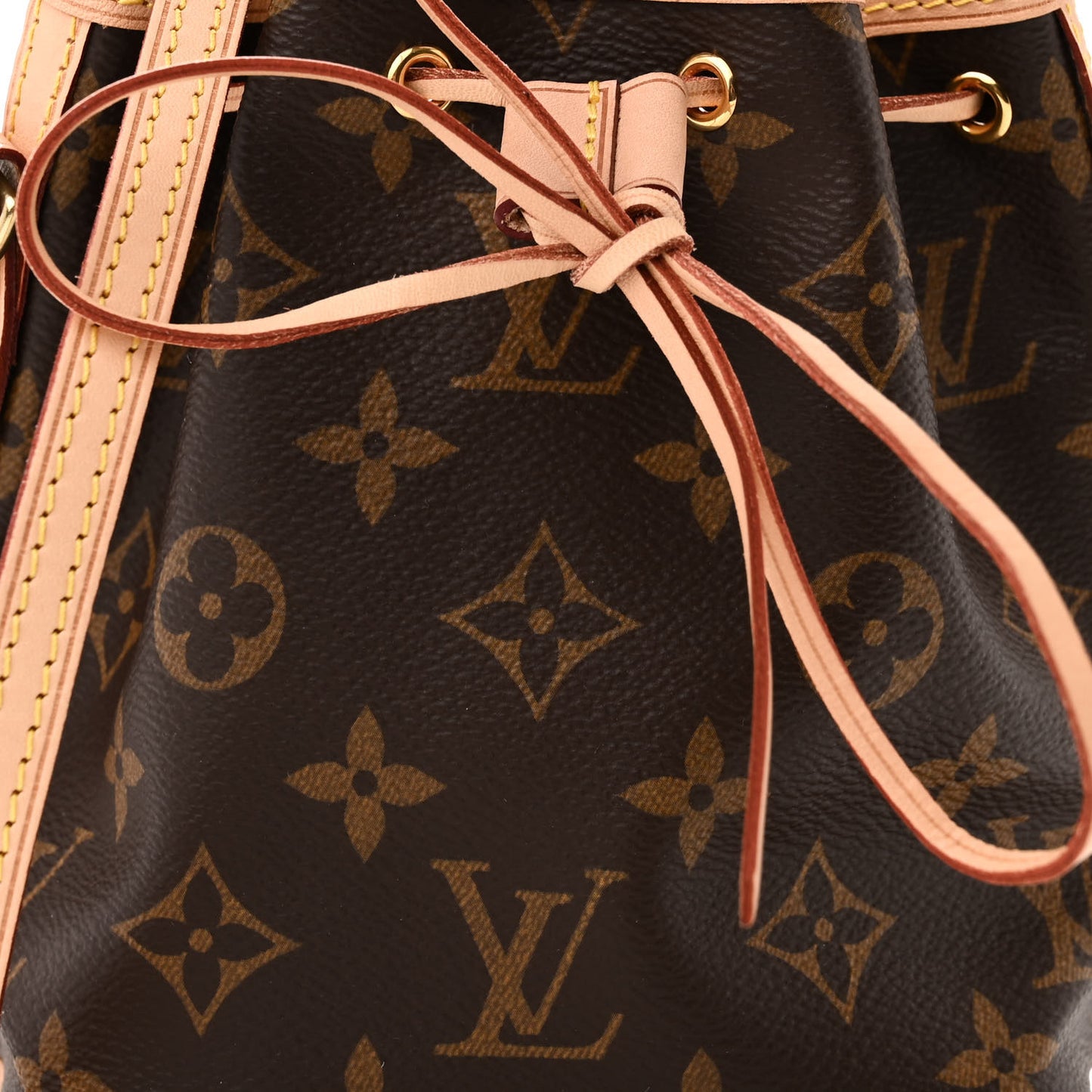 Monogram Nano Noe