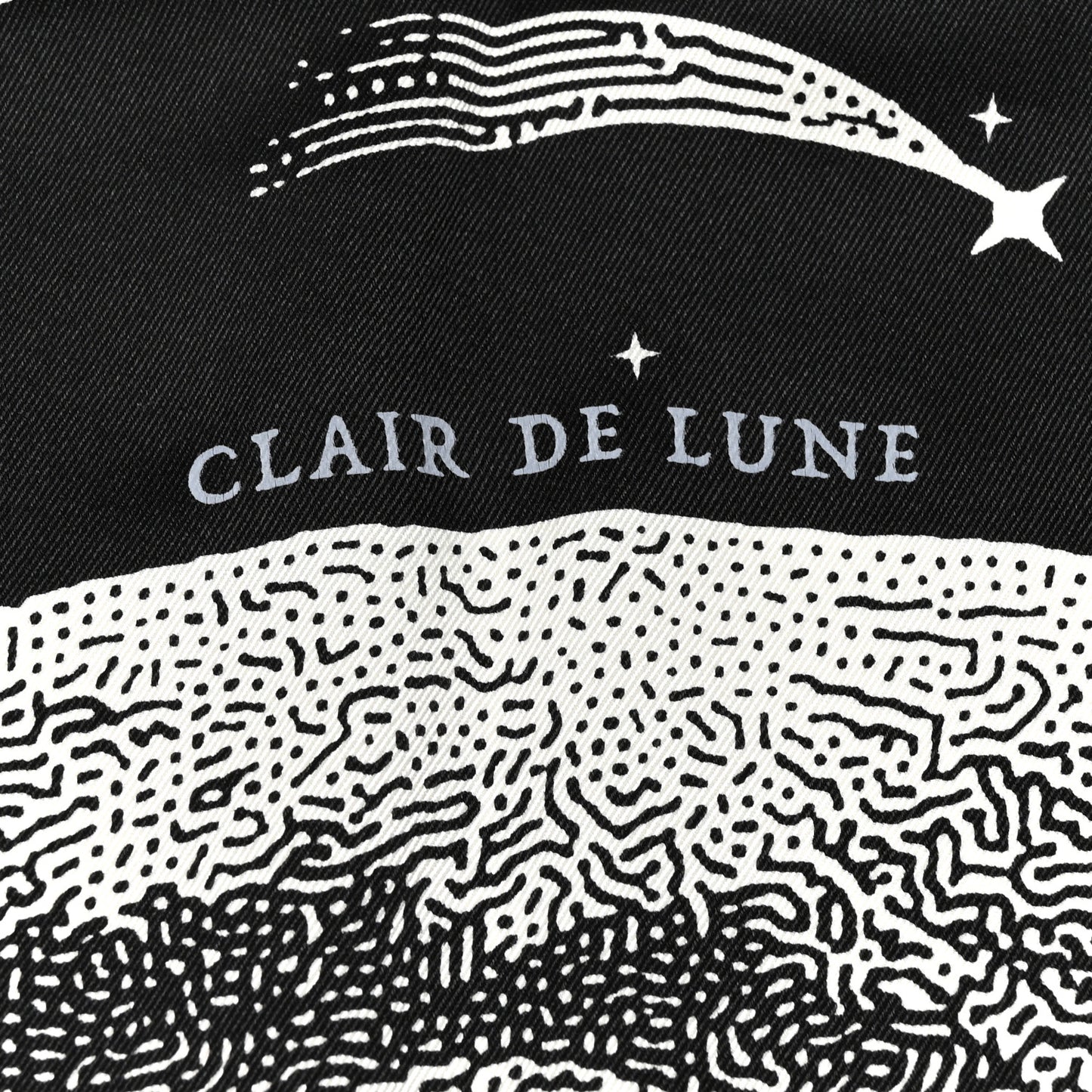 Silk Clair De Lune Double Face Scarf 70 Black White